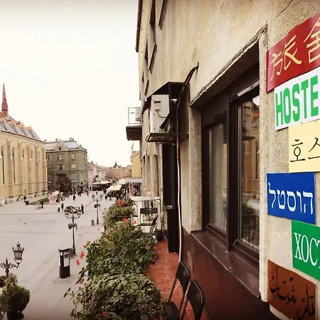 Alterna * Novi Sad